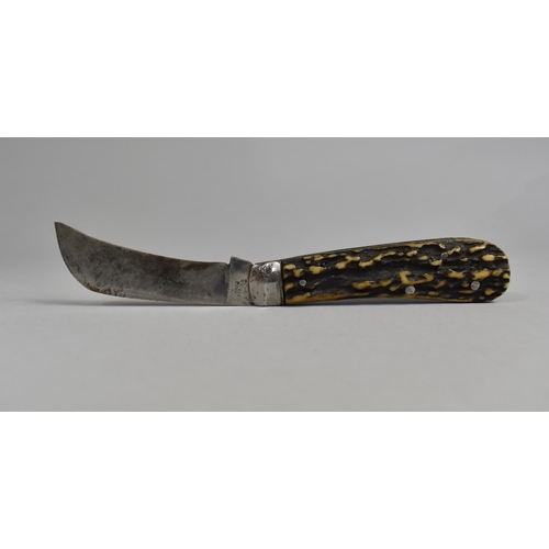 143 - A Vintage Pruning Knife with Stag Horn Scales