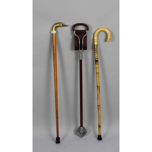 151 - A Collection of Two Walking Sticks and a Shooting Stick