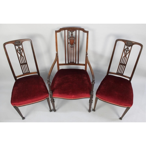 547 - An Edwardian Mahogany Framed Armchair and a Pair of Side Chairs