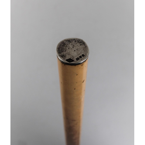 96 - A Vintage Malacca Walking Cane with Silver Disc Top, Hallmarked for London 1910