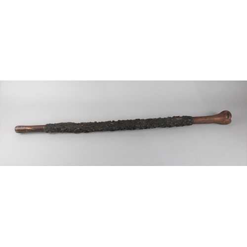 98 - A Vintage African Walking Cane with Thornwood Bark