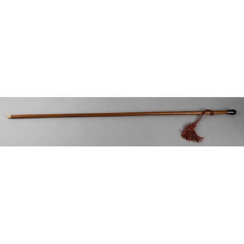 99 - A Vintage Malacca Ladies Walking Cane with Cherry Amber Bakelite Handle