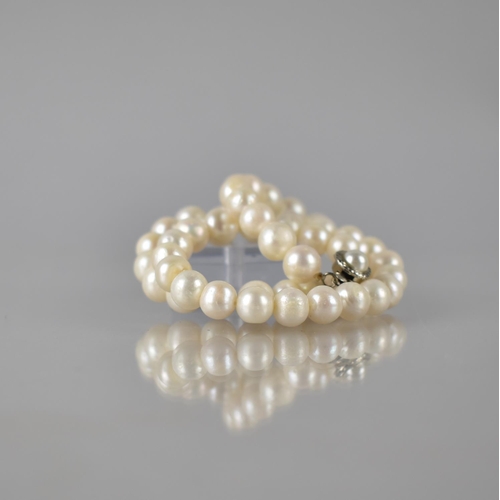 243 - A String of Ivory Pearls, 51 Circular/Irregular Pearls Measuring Approx. 5mm Diameter with White Met... 