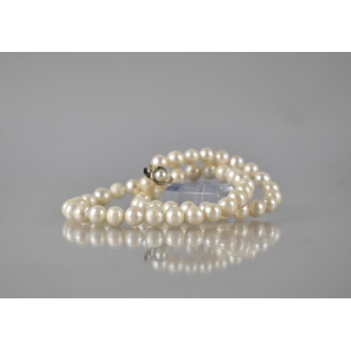 243 - A String of Ivory Pearls, 51 Circular/Irregular Pearls Measuring Approx. 5mm Diameter with White Met... 