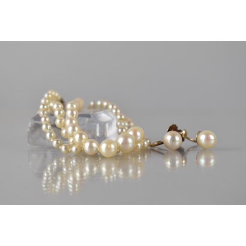 235 - A Matched Suite, Graduated String of Cultured Pearls, Knotted Thread, Largest Approx 7mm, together w... 