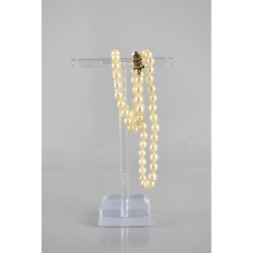 230 - A String of Spherical Cultured Pearls, Ivory Colour and on Knotted Thread, All Approx 5mm Wide, Styl... 