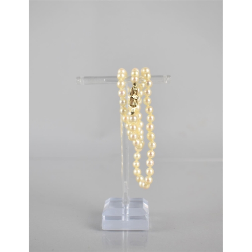 230 - A String of Spherical Cultured Pearls, Ivory Colour and on Knotted Thread, All Approx 5mm Wide, Styl... 