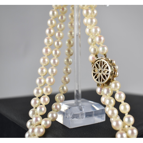 229 - A Good Quality Triple Row of White Cultured Pearls, Each 6mm Diameter Approx though Slightly Varying... 