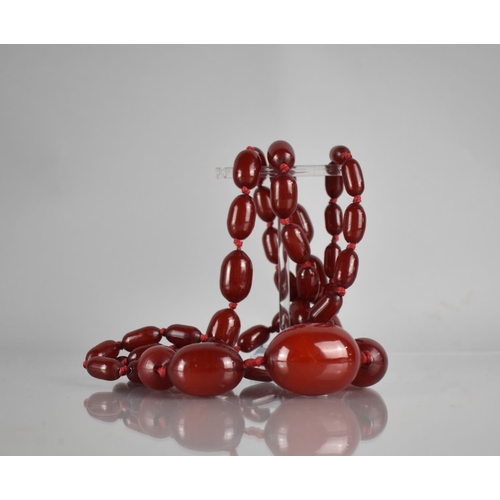 224 - A String of 49 Ovoid Cherry Bakelite Amber Beads, Largest 38mm by 25mm, 120.3gms, 105cms Long Approx