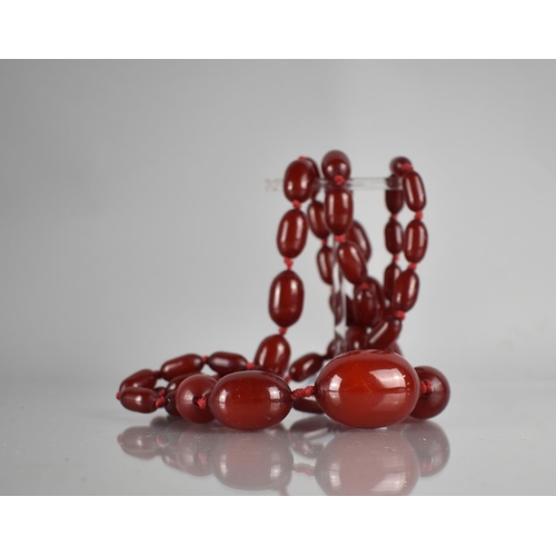 224 - A String of 49 Ovoid Cherry Bakelite Amber Beads, Largest 38mm by 25mm, 120.3gms, 105cms Long Approx