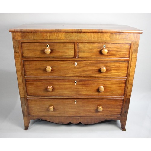 493 - A Late 19th Century Mahogany Chest of Two Short and Three Long Drawers with Ivory Exemption Declarat... 