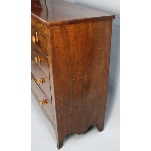 493 - A Late 19th Century Mahogany Chest of Two Short and Three Long Drawers with Ivory Exemption Declarat... 