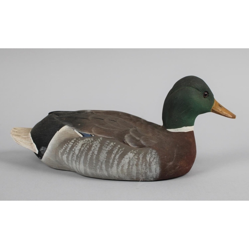 12 - A Modern American Painted and Carved Decoy Duck, 26cms Long