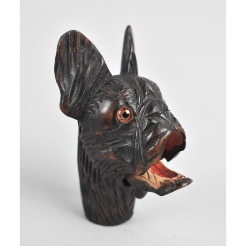 13 - A Late 19th Century Novelty Umbrella Handle in the Form of a French Bulldog with Glass Eyes and Hing... 