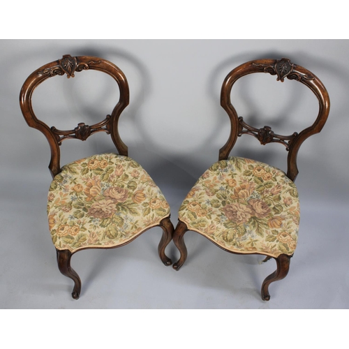 348 - A Pair of Late Victorian Walnut Framed Balloon Back Ladies Salon Chairs with Tapestry Seats