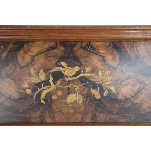 361 - A Framed Inlaid Walnut Panel decorated with Bird on Cherry Tree, Probably Formerly a Panel to Piano,... 