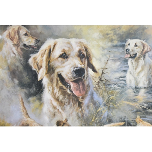 97 - A Framed Mick Cawston Print of Golden Retriever, Limited Edition No 661/880, 40x34cms