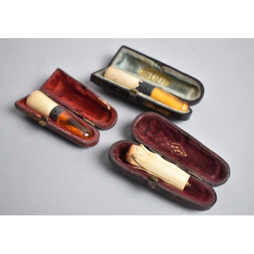 108 - A Collection of Three Cased Cheroot Holders