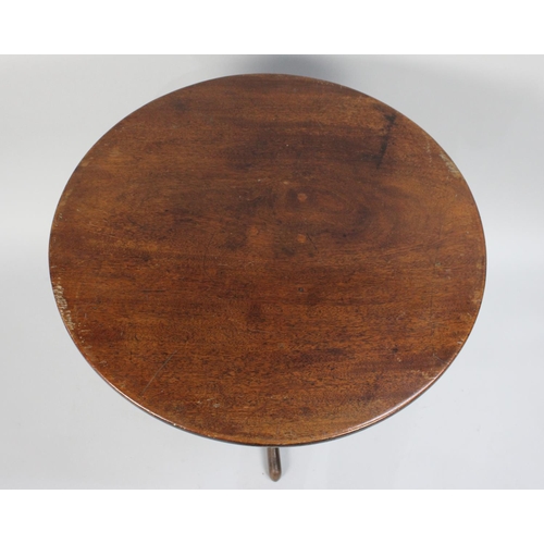 421 - A Late 19th Century Mahogany Tripod Table, Formerly a Snap Top but Now Fixed, 58cm wide