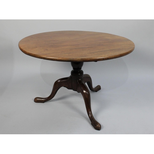 425 - A 19th Century Mahogany Snap Top Top Tripod Table, now Cut Down to Repurpose as Coffee Table, 80cm D... 