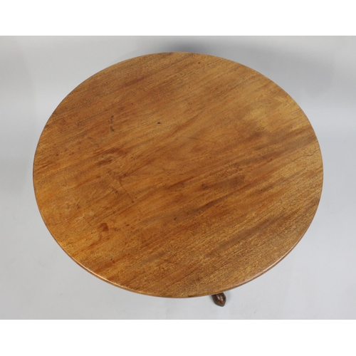 425 - A 19th Century Mahogany Snap Top Top Tripod Table, now Cut Down to Repurpose as Coffee Table, 80cm D... 