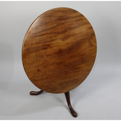 425 - A 19th Century Mahogany Snap Top Top Tripod Table, now Cut Down to Repurpose as Coffee Table, 80cm D... 