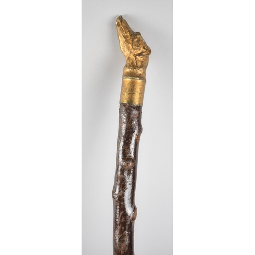 452 - A Novelty Thornwood Walking Cane with Carved and Gilt Painted Greyhound Head Handle, 81cm long