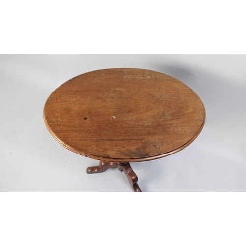 70 - A Victorian Mahogany Oval Snap Top Tripod Table, 65cm wide