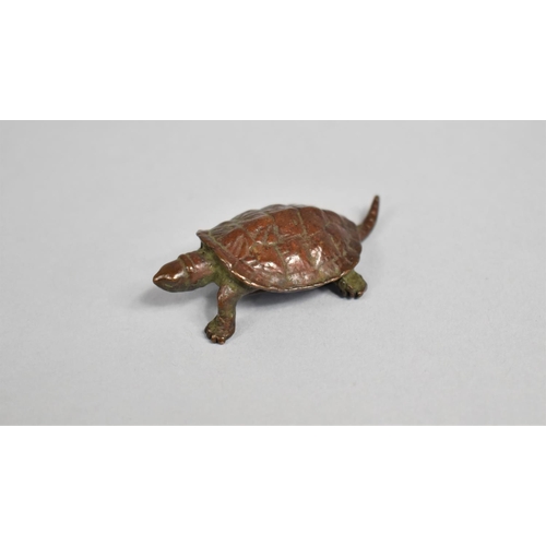 16 - A Small Signed Bronze Study of a Turtle, 5.5cms Long