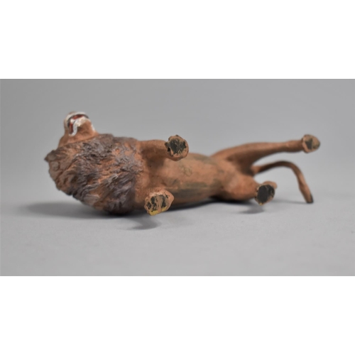 31 - A Reproduction Cold Painted Bronze Study of a Lion, 10cms Long