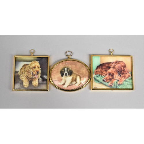 82 - A Collection of Three Brass Framed Miniature Paintings of Dogs, Signed Margaret Anderson and G Morto... 