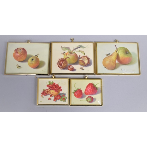 83 - A Collection of Five Brass Framed Miniature Paintings, Still Lives, Fruit, Oil on Ivorine by Sheila ... 