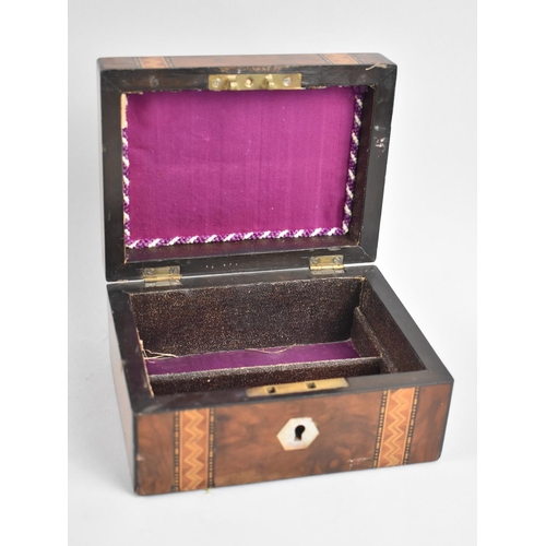 5 - A Late 19th Century Burr Walnut Lidded Box with Banded Inlay and Mother Of Pearl Escutcheons, 15cms ... 