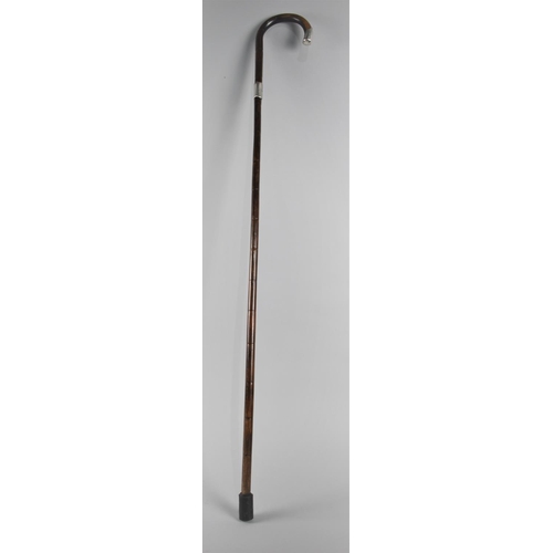 10 - A Silver Mounted Bamboo Walking Stick, Hallmarked for Birmingham 1920, 90cms High