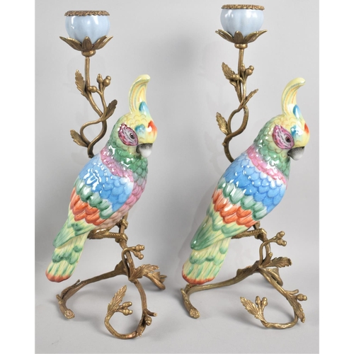 64 - A Pair of Modern Bronze and Porcelain Candlesticks in the Form of Parrots Perched on Oak Branches wi... 