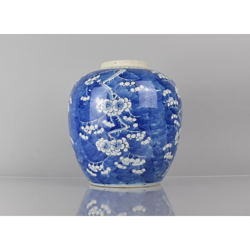 26 - A Large 19th Century Chinese Blue and White Prunus Pattern Ginger Jar, Double Concentric Mark to Bas... 