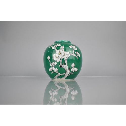 109 - A Chinese Porcelain Ginger Jar Decorated with Blossoming Prunus on Green Ground, 15cm high