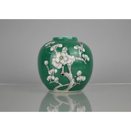 109 - A Chinese Porcelain Ginger Jar Decorated with Blossoming Prunus on Green Ground, 15cm high