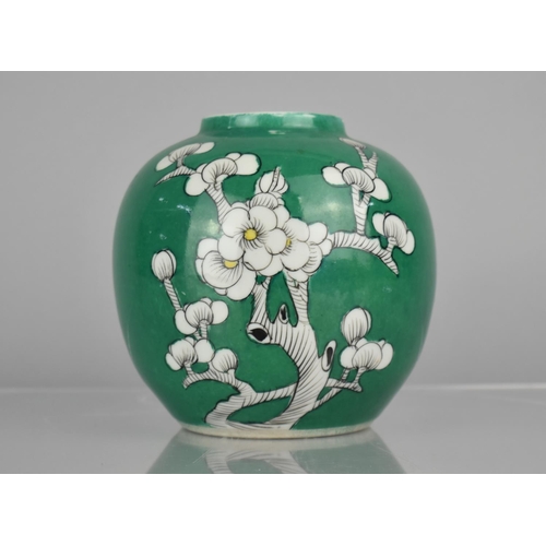 109 - A Chinese Porcelain Ginger Jar Decorated with Blossoming Prunus on Green Ground, 15cm high