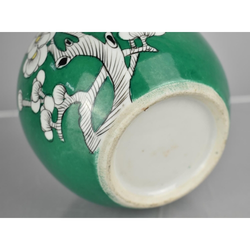 109 - A Chinese Porcelain Ginger Jar Decorated with Blossoming Prunus on Green Ground, 15cm high