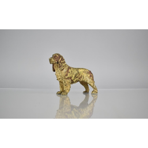 229 - A 19th Century Austrian Cold Painted Bronze Figure of a Spaniel, 11cms Long