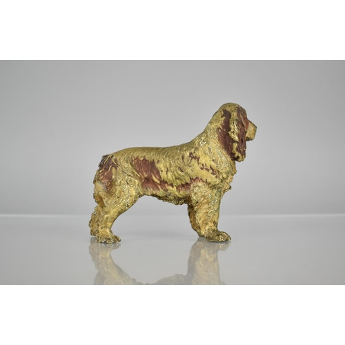 229 - A 19th Century Austrian Cold Painted Bronze Figure of a Spaniel, 11cms Long