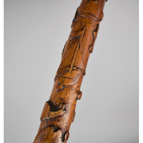 257 - A 19th/20th Century Carved Soft Wood Stick Carved in Relief with Various Animals, Birds, Insects and... 