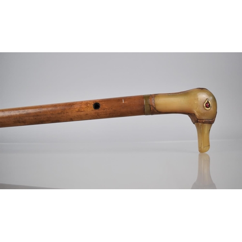 255 - A Nice Quality Early 20th Century Malacca Shafted Walking Stick with Duck Head Handle Formed from Ho... 