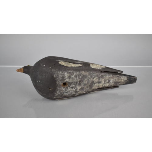 207 - A Vintage Wooden Decoy Pigeon with Glass Eyes, 25cms Wide