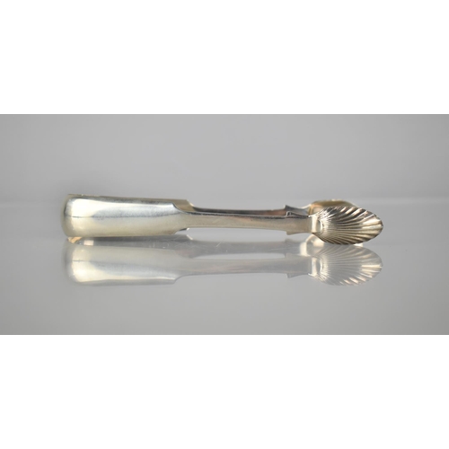 343 - A Pair of William IV Silver Sugar Tongs with Shell Nips by Alexander Cameron, Dundee 1835 Hallmark