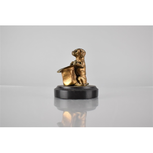 240 - An Early 20th Century Bronze Match Holder in the Form of a Begging Anthropomorphic Dog with Hat, On ... 