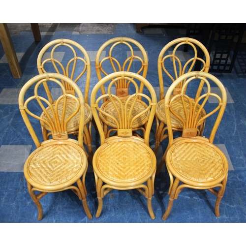 485 - A Set of Six Bamboo Framed Dining with Circular Woven Seats