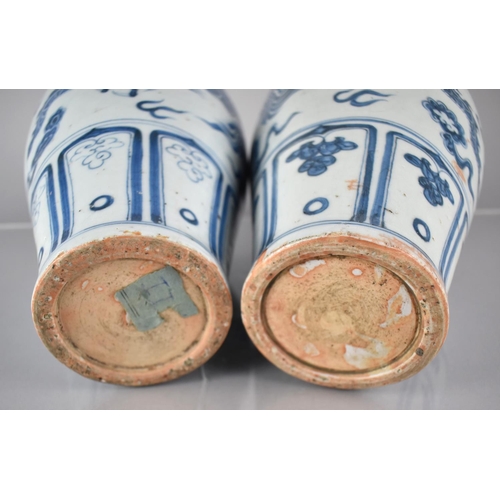 408 - A pair of Blue and White Vases decorated with Dragons Amongst Scrolls and Clouds, 30cms High