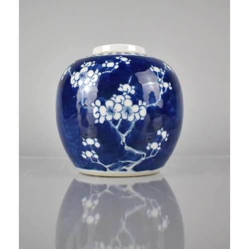 416 - A Chinese Porcelain Blue and White Prunus Pattern Ginger Jar Double Concentric Mark to Base, 13cms H... 